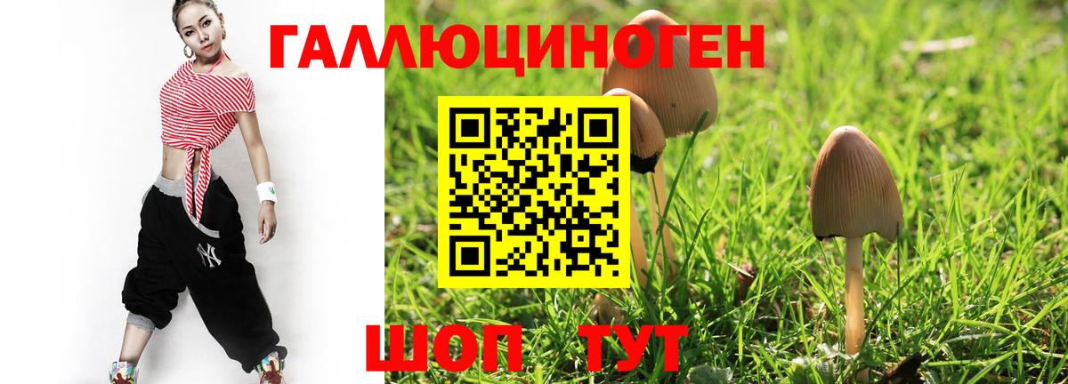 Псилоцибиновые грибы мухоморы  Вход с VPN  Кимры 